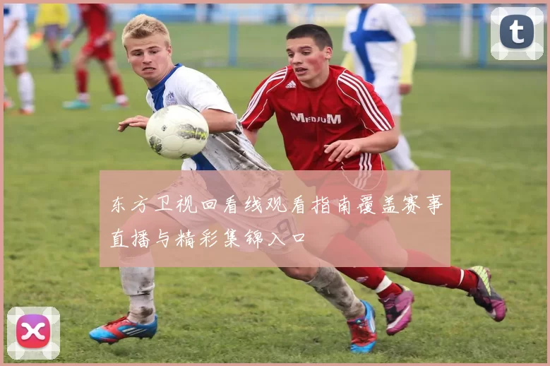 东方卫视回看线观看指南覆盖赛事直播与精彩集锦入口