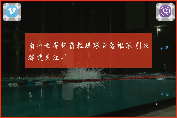 南非世界杯首粒进球花落谁家 引发球迷关注_1
