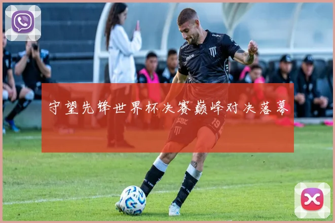 守望先锋世界杯决赛巅峰对决落幕