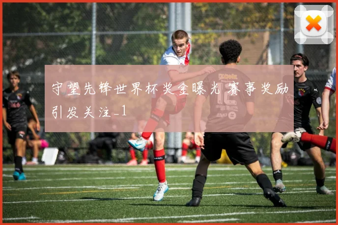 守望先锋世界杯奖金曝光 赛事奖励引发关注_1