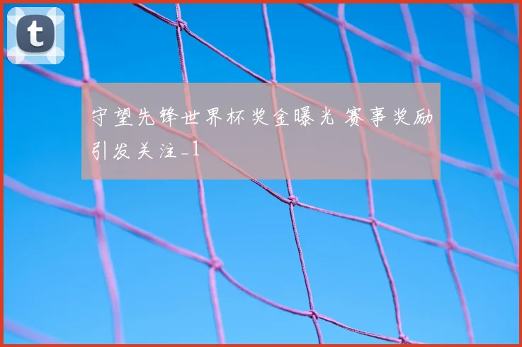 守望先锋世界杯奖金曝光 赛事奖励引发关注_1