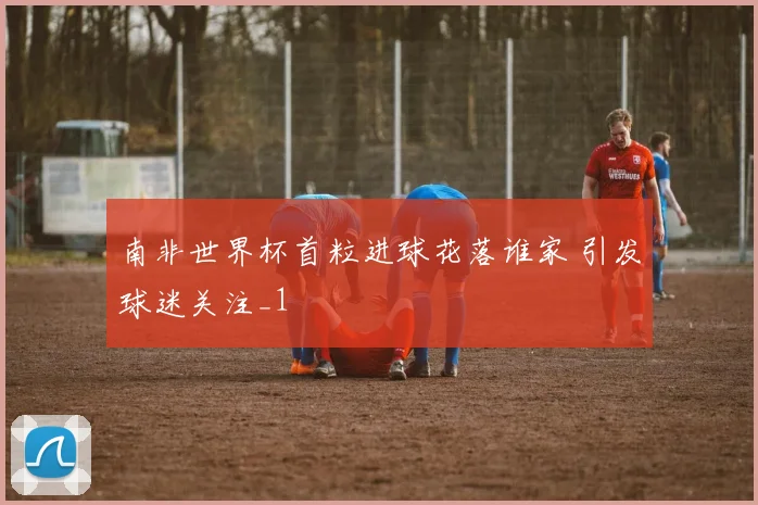 南非世界杯首粒进球花落谁家 引发球迷关注_1